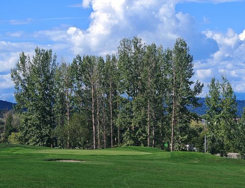 20 % popust na letno karto Golf centra Trnovo – samo 7. oktobra